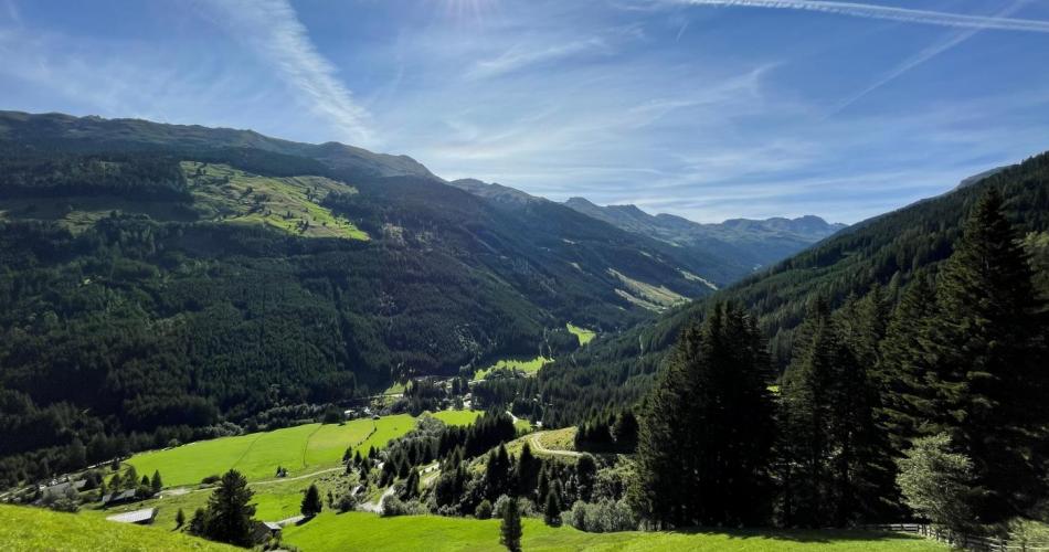 Wald